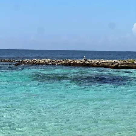 Beachfront In *
