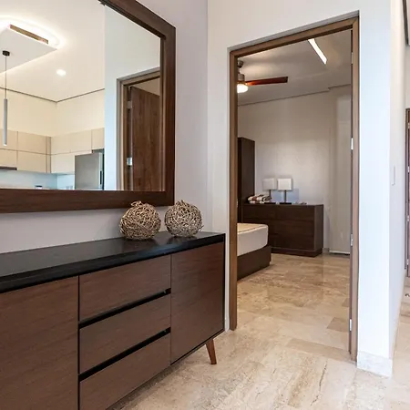 Amira District C305