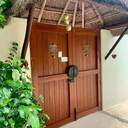 Tua 5 Apartment