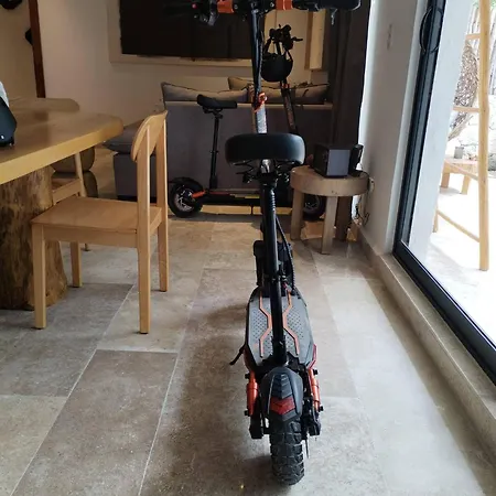 Tropical Retreat: Scooters, Hot Tub, Pool, Projector Apartment