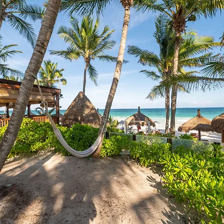 Hotel Ana Y Jose Hotel&beach Club 5*