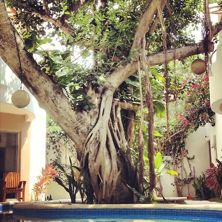 Boutique 06 (adults Only) Hotel Tulum