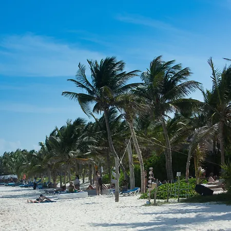 Hotel Tulum- &