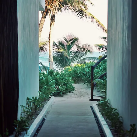 Hotel Tulum- &