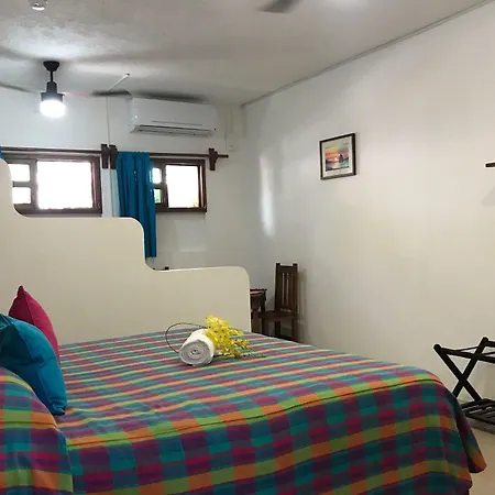 Maison Hotel 3*