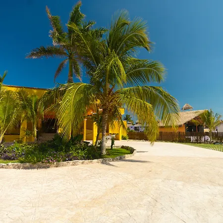 Pavoreal Tulum
