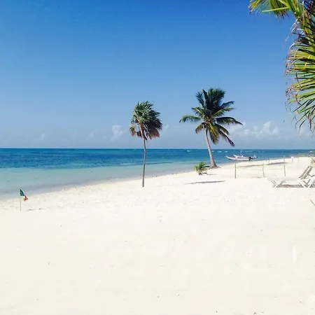 Hotel Pavoreal Tulum