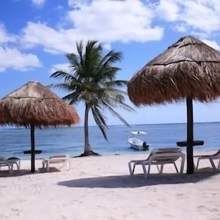 Pavoreal Tulum