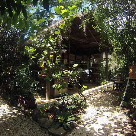 Bed & Breakfast Casa Don Diego