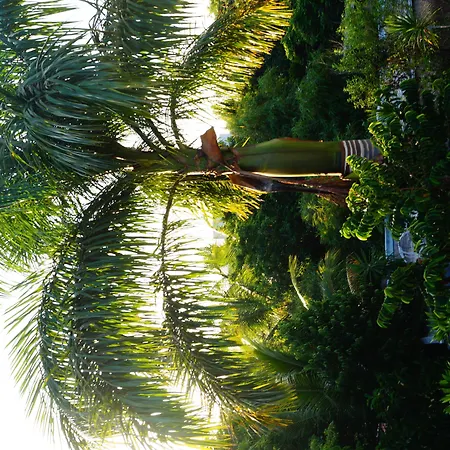 Casa Don Diego Bed & Breakfast