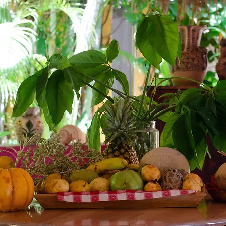 Bed & Breakfast Casa Don Diego