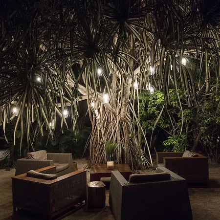 Jashita (adults Only) Tulum