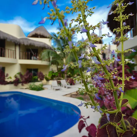 Apartahotel Akalan 4*