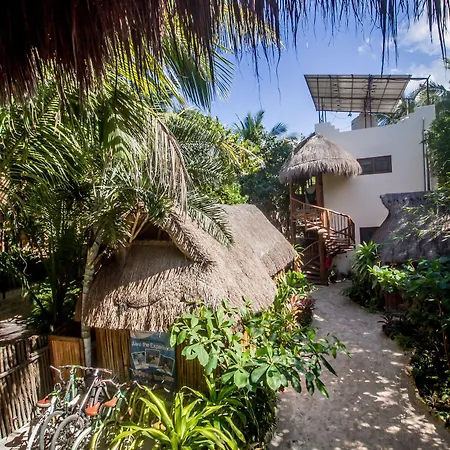 Playa Canek Beachfront Eco