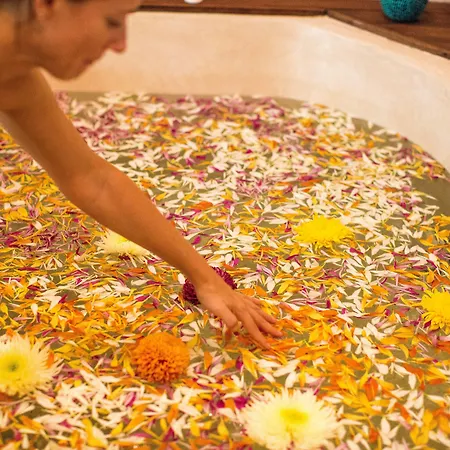 Hotel Mi By La Zebra, An Slh (adults Only) Tulum