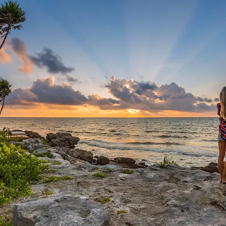 Hotel Mi By La Zebra, An Slh (adults Only) Tulum