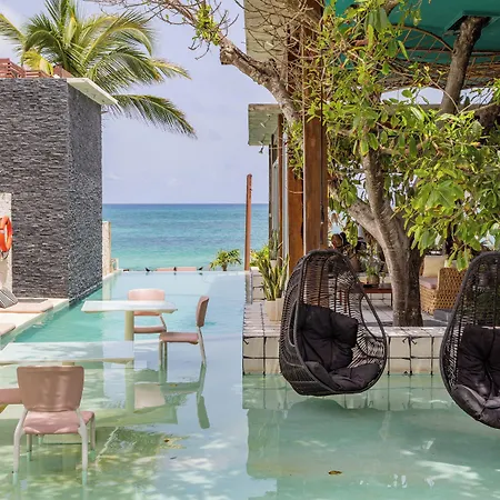Mi By La Zebra, An Slh (adults Only) 5*