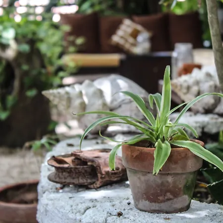 Secret Garden