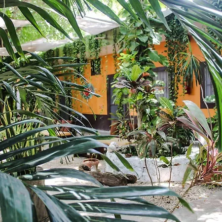 Secret Garden 3* Tulum