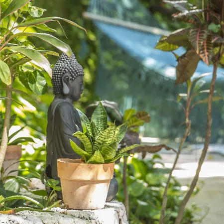Secret Garden Hotel