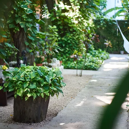 Secret Garden 3* Tulum