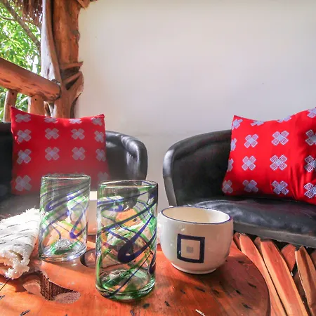 Eos Wellness By Amazonia Tulum
