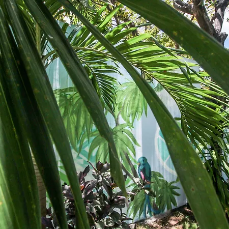 Eos Wellness By Amazonia Tulum