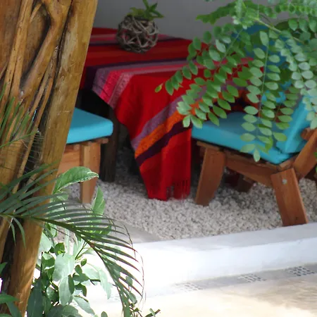 Eos Wellness By Amazonia Tulum