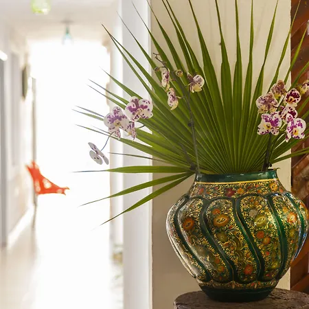 Mestizo Boutique Hotel Tulum