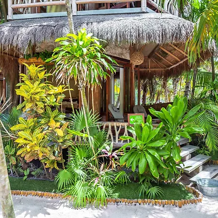 Hotel Alaya By Ahau Collection 4*