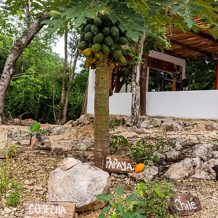 Xtambaa Selva Tulum