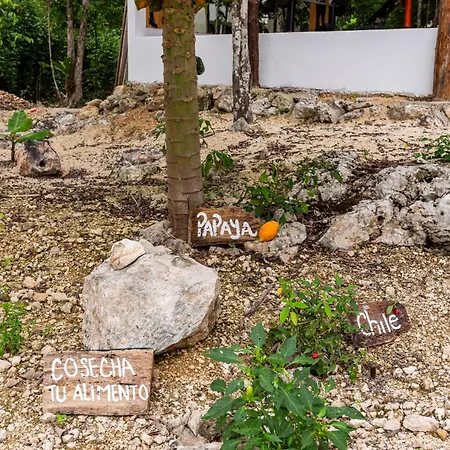Xtambaa Selva Tulum