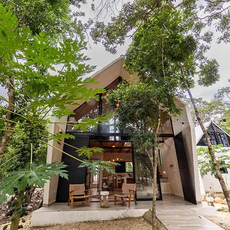 Xtambaa Selva