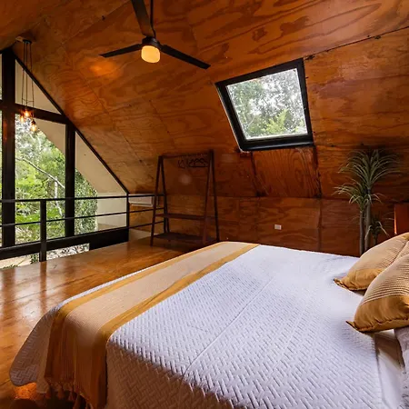 Xtambaa Selva *