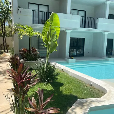 Modern In Core Pool Nature Tulum