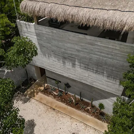Kinich Nah - 2 Bedroom Penthouse Rooftop And Pool Amazing Jungle View
