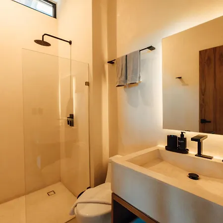 Kinich Nah - 2 Bedroom Penthouse Rooftop And Pool Amazing Jungle View Apartment