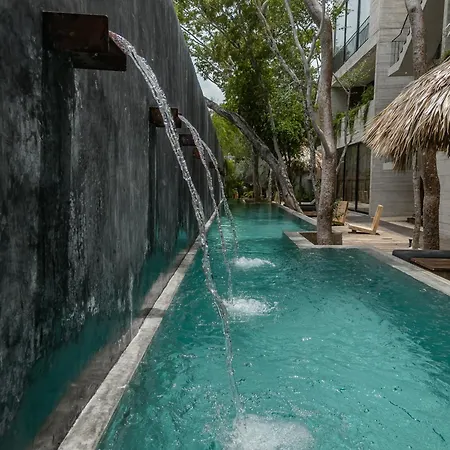 Kinich Nah - 2 Bedroom Penthouse Rooftop And Pool Amazing Jungle View