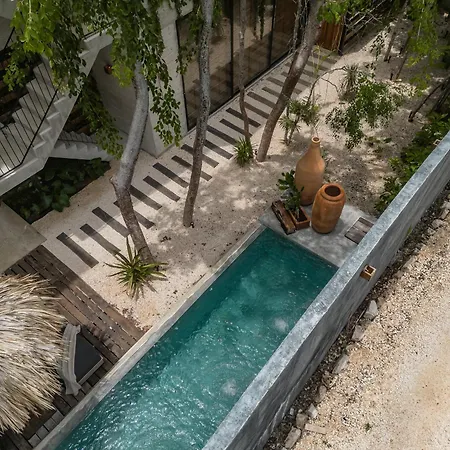 Apartment Kinich Nah - 2 Bedroom Penthouse Rooftop And Pool Amazing Jungle View *
