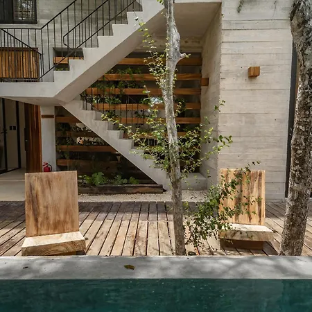 Kinich Nah - 2 Bedroom Penthouse Rooftop And Pool Amazing Jungle View *