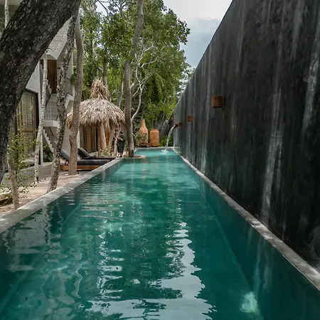 Kinich Nah - 2 Bedroom Penthouse Rooftop And Pool Amazing Jungle View Apartment *