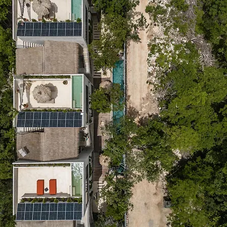 Kinich Nah - 2 Bedroom Penthouse Rooftop And Pool Amazing Jungle View Apartment Tulum