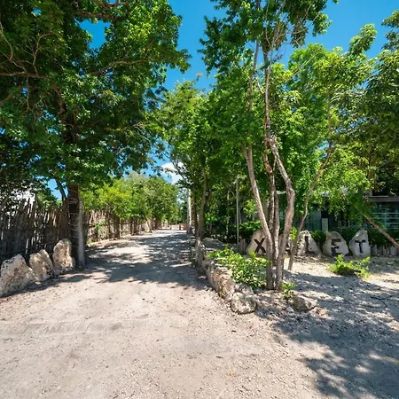 Apartamento Modern With Pool Unbeatable Tulum