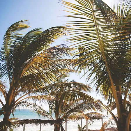 Hotel Nomade Temple Tulum
