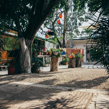 Hotel Teetotum Tulum