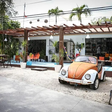 Teetotum Tulum