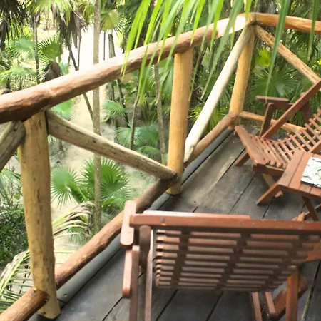 Nueva Vida De Ramiro Tulum