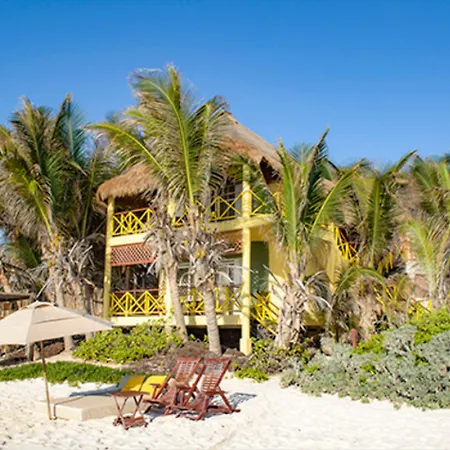 Nueva Vida De Ramiro Tulum