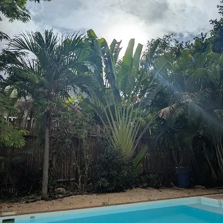 Luxury 4 Bedroom With Private Pool Villa Tulum