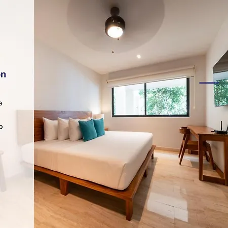 Modern In Pool And Gym * Tulum